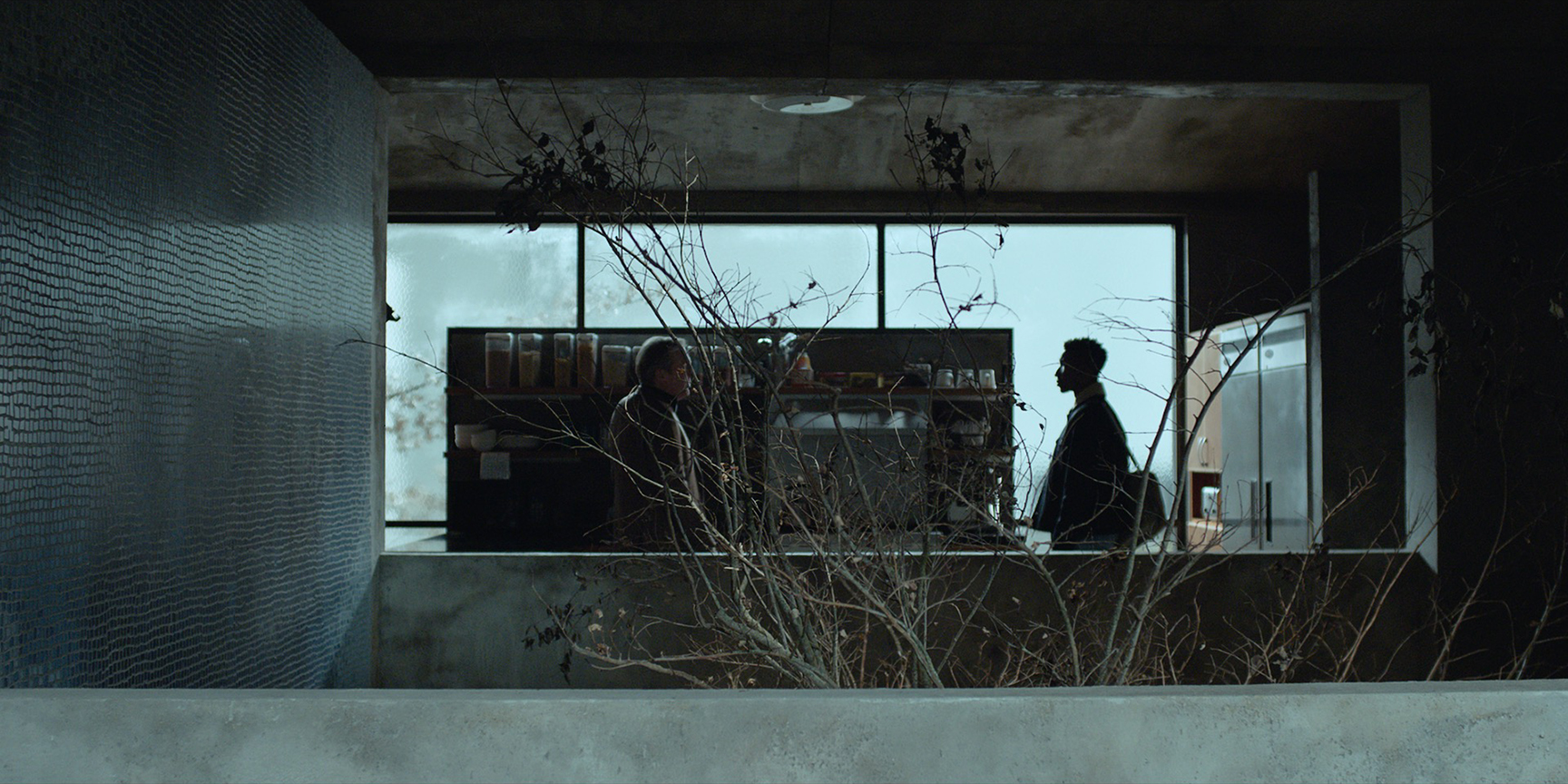 Archive 81: Compound